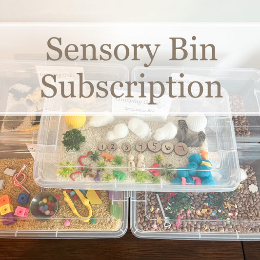 Sensory Bin Subscription (just $26 quarterly!)