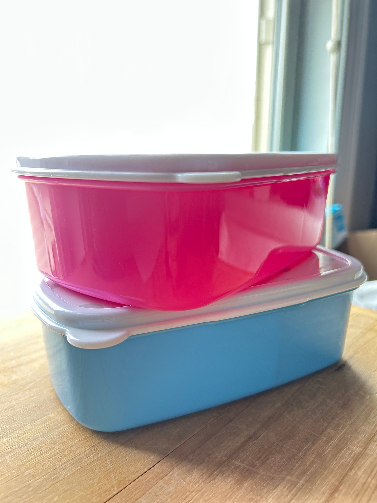*Design Your Own* Kids Lunch Box {2 compartments}
