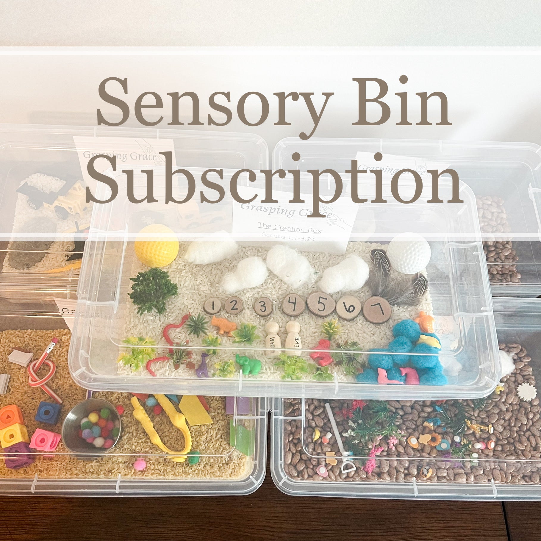 Sensory Bin Subscription (just 26 quarterly!) Mag & Mills