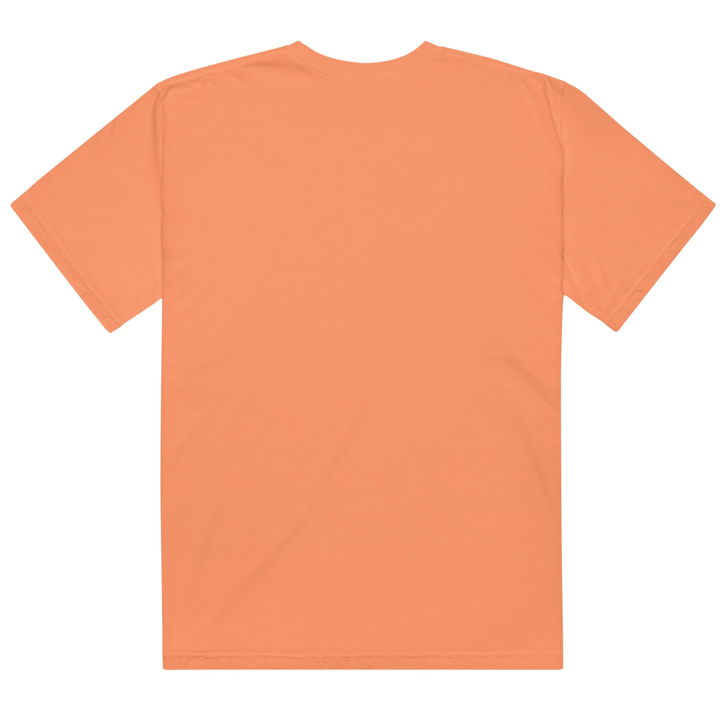 Football Fanatic Comfort Colors Adult Tee